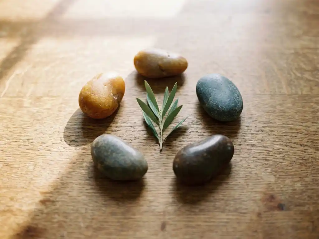 Vijf gladde stenen in cirkelvorm op een eiken tafel met een groen plantsprigetje in het midden, zachte natuurlijke belichting.