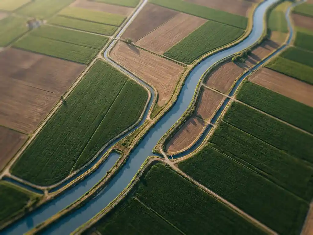 Luchtfoto van een rivier met vertakkende irrigatiekanalen door geordende groene landbouwpercelen in gouden middaglicht.